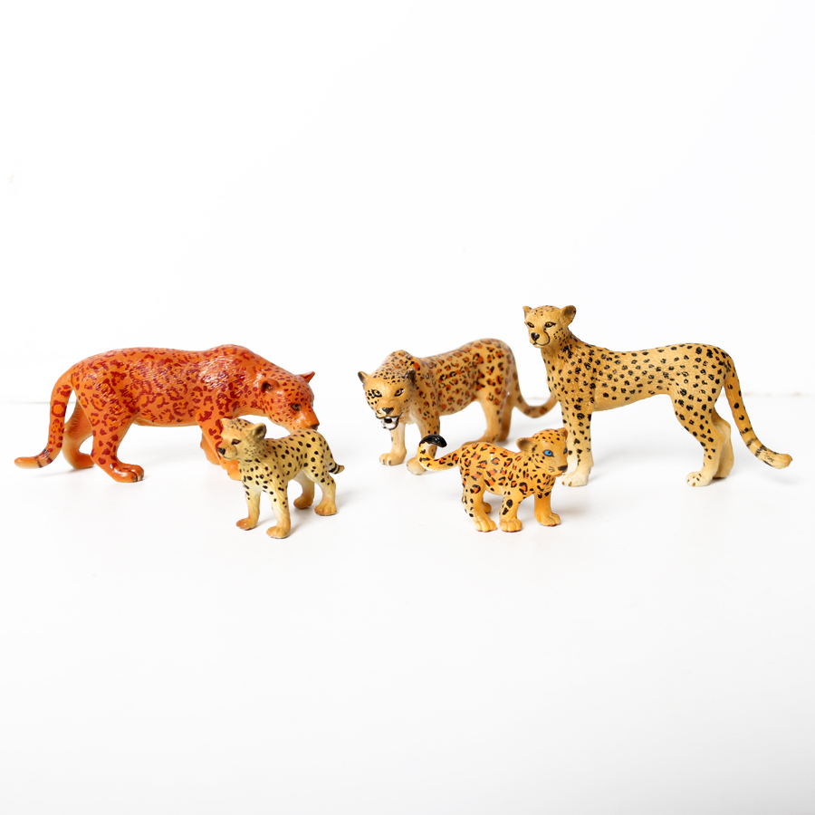 本物の野生動物キングダムの白い雌虎、ヒョウ、ライオン、パンサ - Kingdom Kids Education のレビューと価格