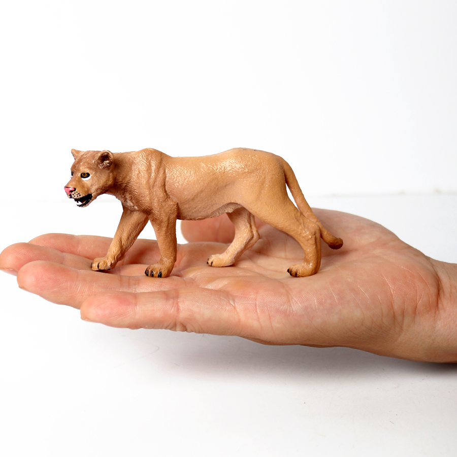 本物の野生動物キングダムの白い雌虎、ヒョウ、ライオン、パンサ - Kingdom Kids Education のレビューと価格
