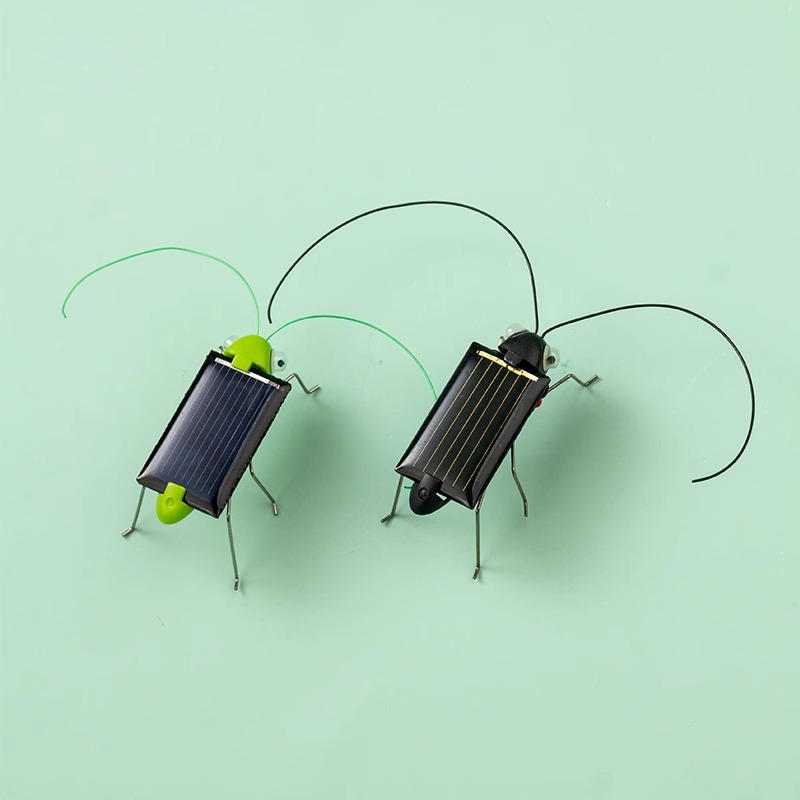 太陽光発電のイナゴムシおもちゃ 動く昆虫の置物 STEM教育 - Kingdom Kids Education のレビューと価格
